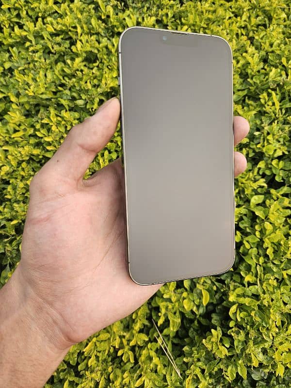 iPhone 13 Pro Max 128GB Approved 1