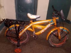 bachon ki cycle