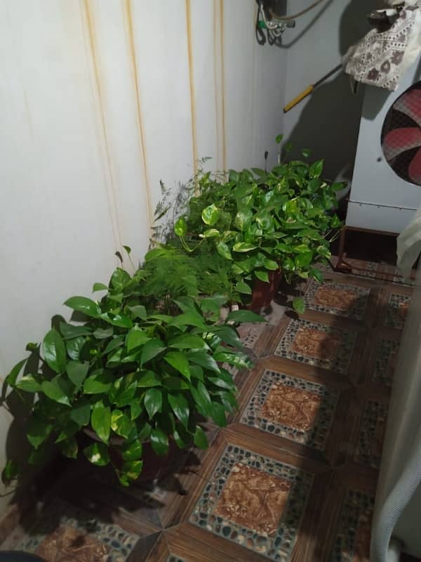 4 MARLA DOUBLE STOREY HOUSE FOR SALE 5