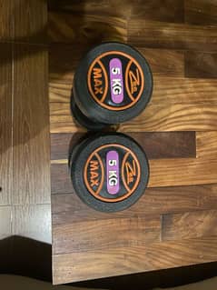 pair of two dumbells with 5kg each