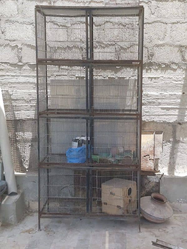 Birds Cage 0