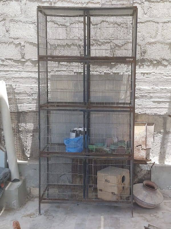 Birds Cage 1