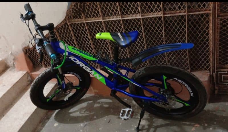 Morgan Mountain Bicycle (Almost Unused) Gear Shifting. 0
