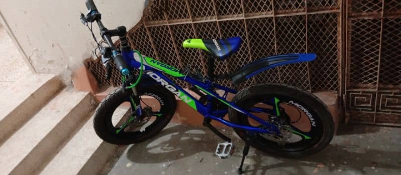 Morgan Mountain Bicycle (Almost Unused) Gear Shifting. 2