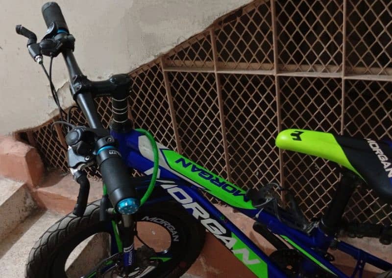 Morgan Mountain Bicycle (Almost Unused) Gear Shifting. 3