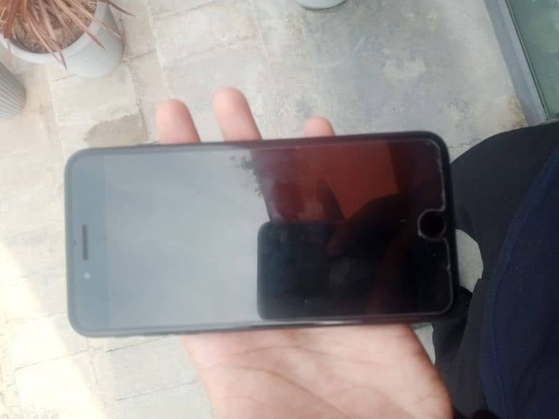 7 plus Non-PTA 256 GB 2