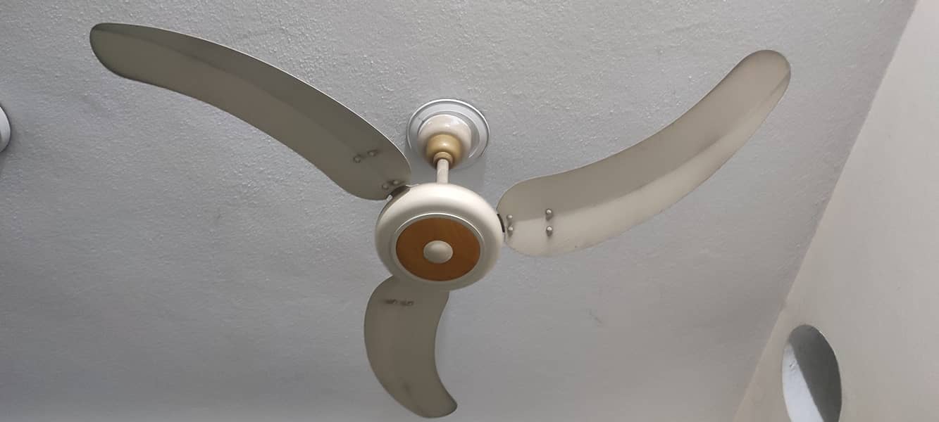 12 fancy stylish Fans 99.9 % copper wiring 0