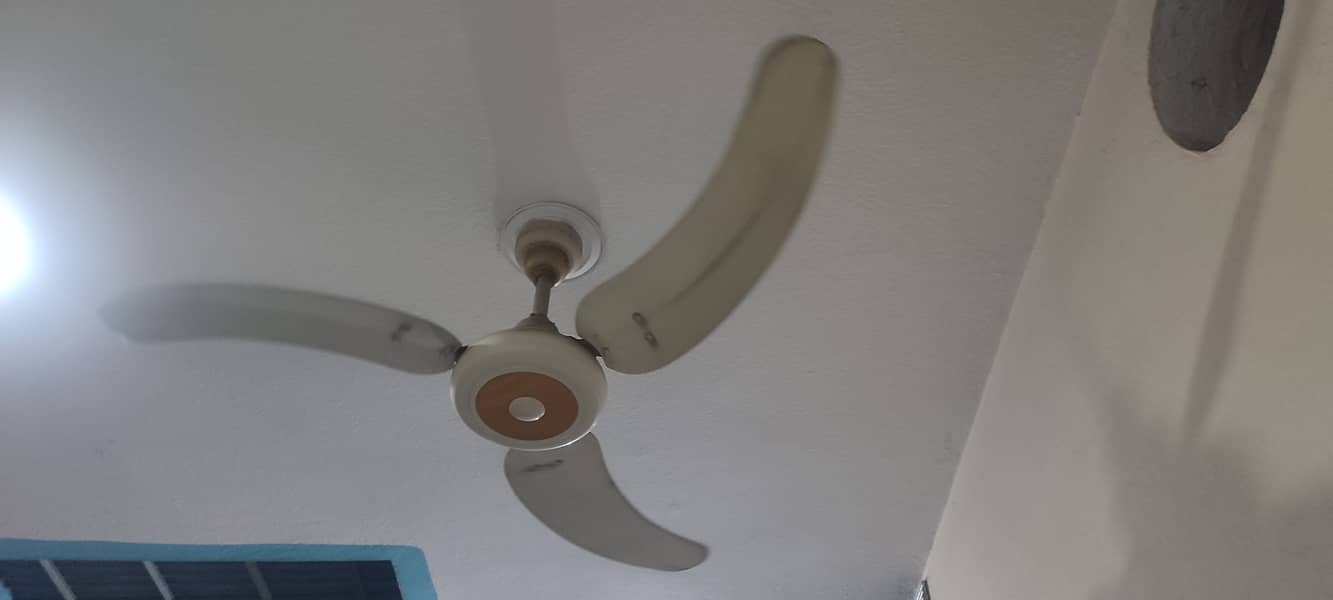12 fancy stylish Fans 99.9 % copper wiring 1