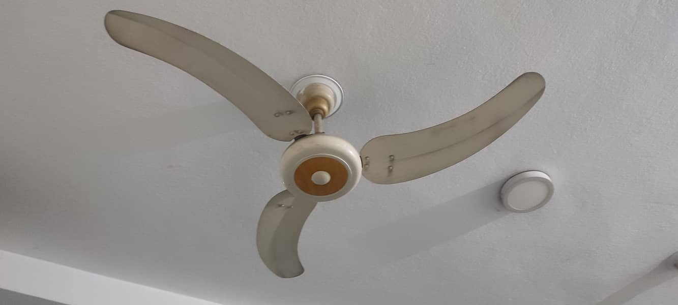12 fancy stylish Fans 99.9 % copper wiring 2