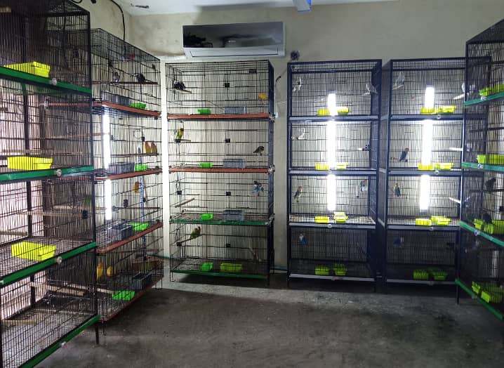 Cages|4 portion| 0