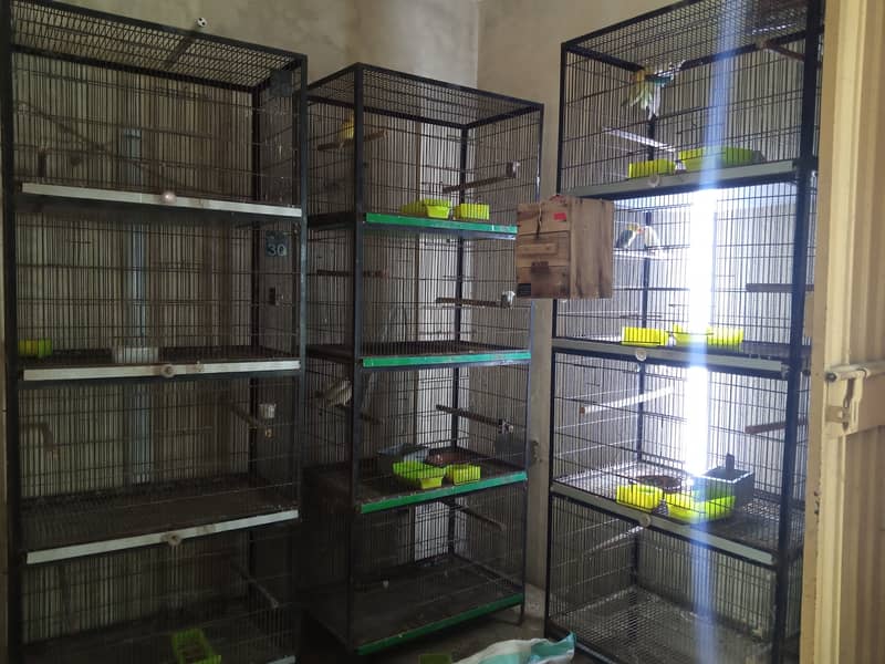 Cages|4 portion| 1