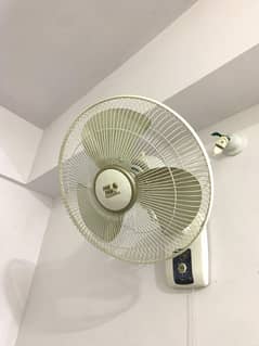warranty