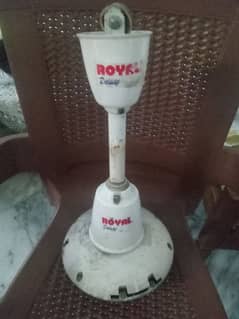 Royal Dulex Fans