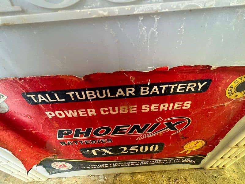 Phoenix Tall Tubular Battery TX2500 and 230amp 0