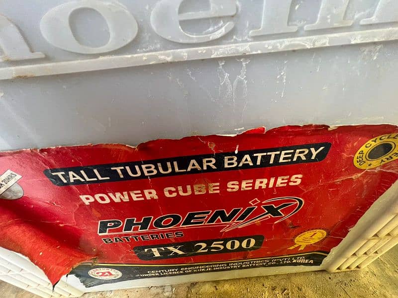 Phoenix Tall Tubular Battery TX2500 and 230amp 4