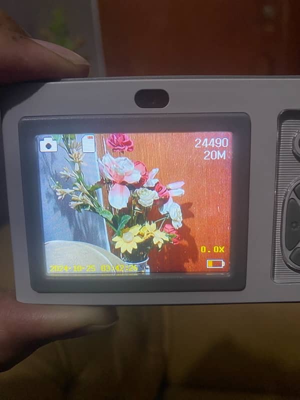 Digital camera 11