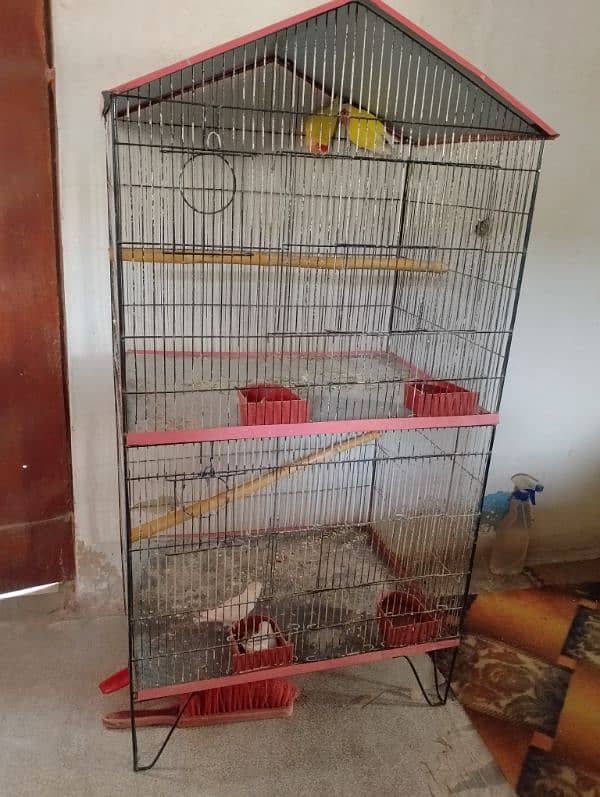 Cage sale 5000 03361803897 2