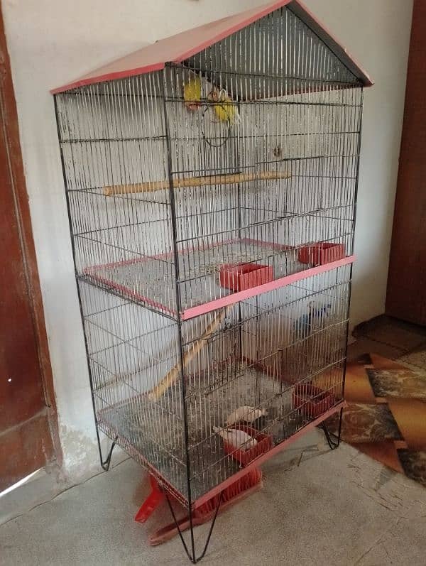 Cage sale 5000 03361803897 1