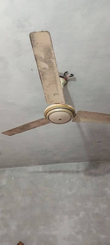 3 celling fan hain 1