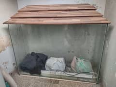 fish aquarium