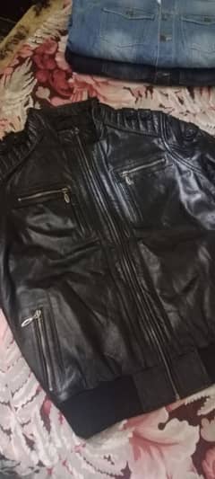 jacket ledhar orgnal
