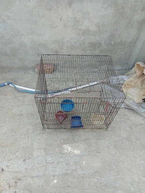 hen cage 0