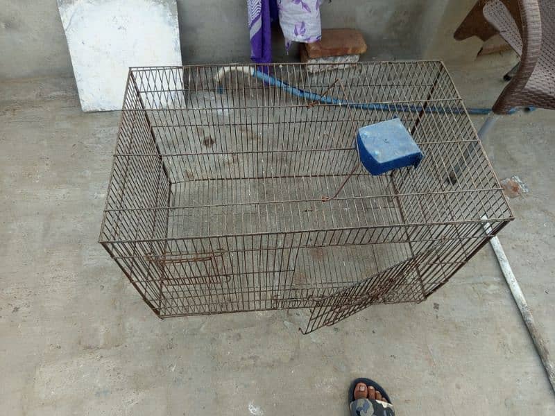 hen cage 1
