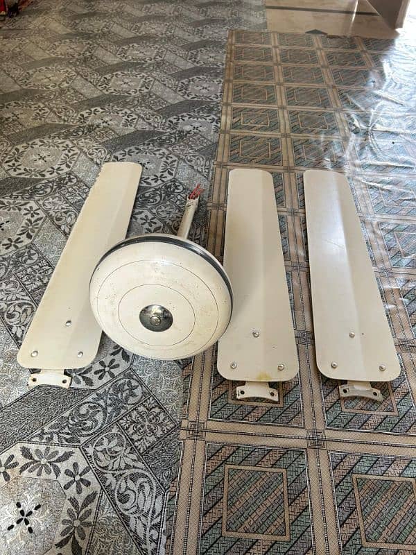 AC selling Fans 1