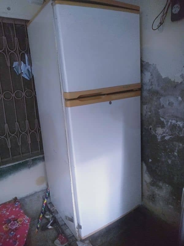 waves fridge 1