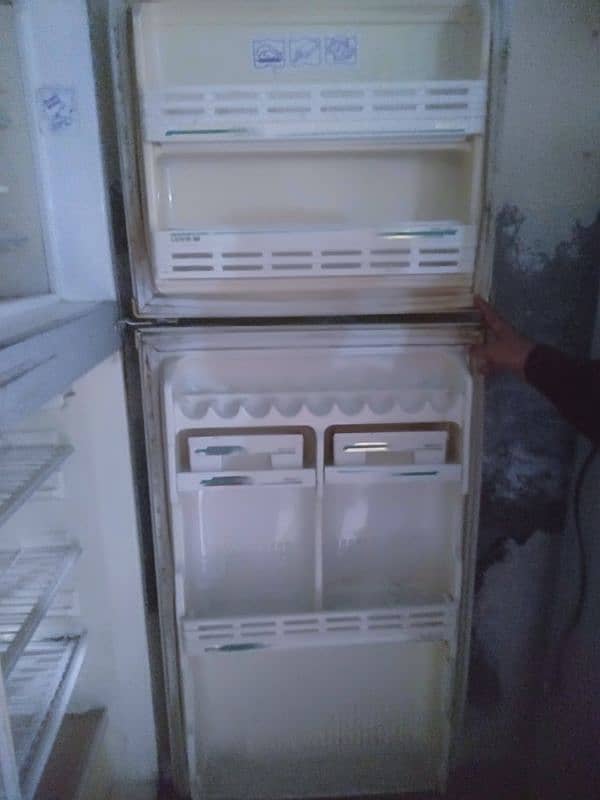 waves fridge 2