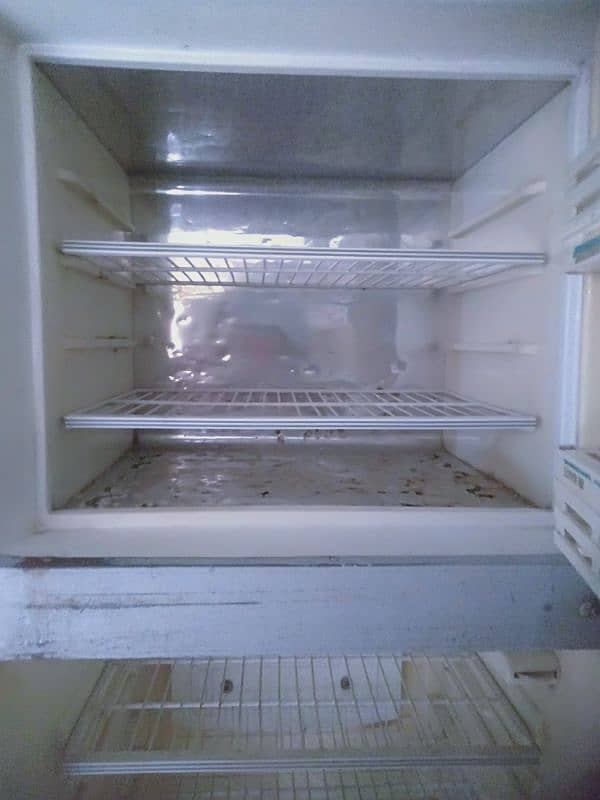 waves fridge 4
