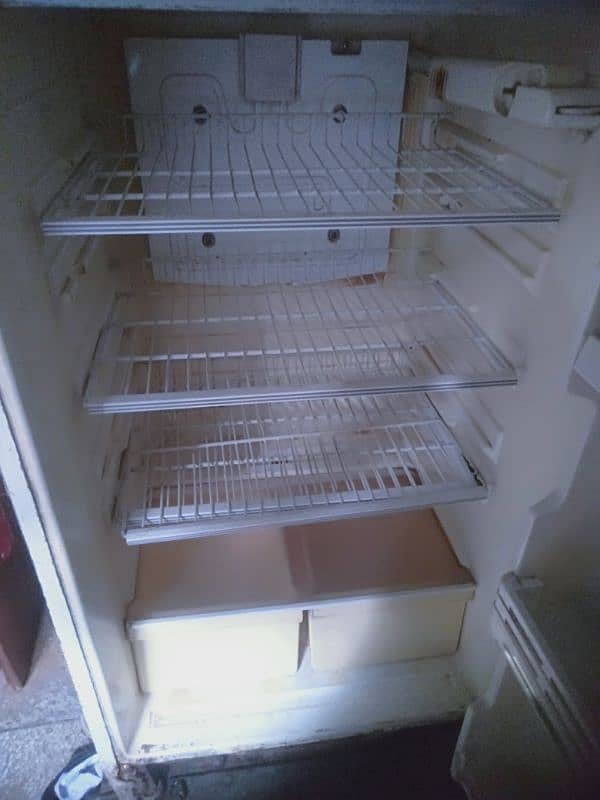waves fridge 5