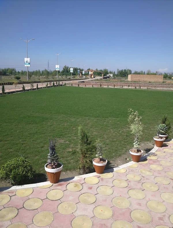Plots on Investor Rate / Great Investment Opportunity! 1
