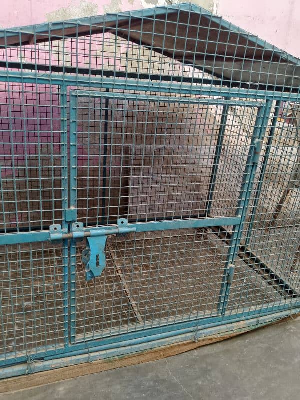 cage for birds 1