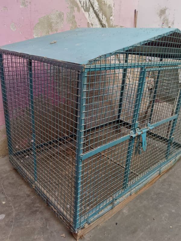 cage for birds 2
