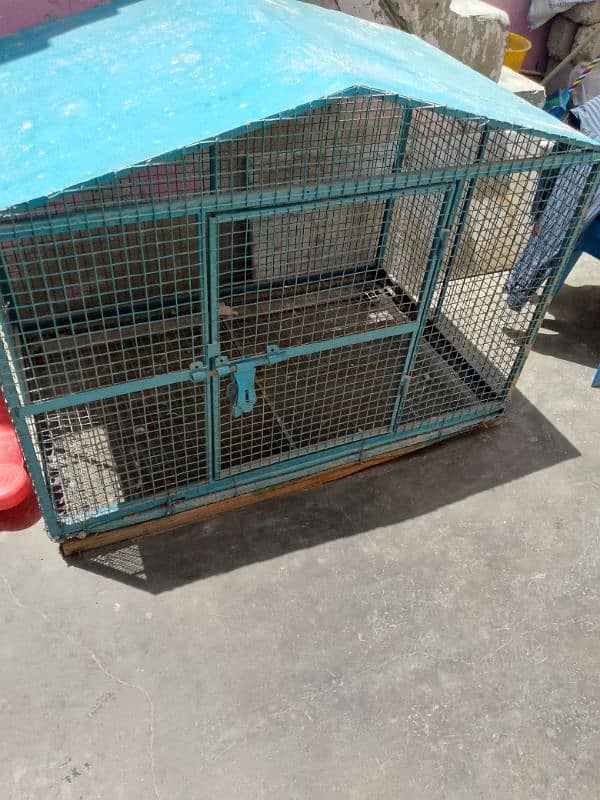 cage for birds 4