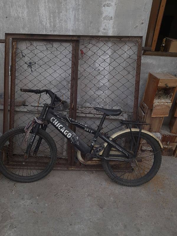 all setup for sale bird's and cages 12
