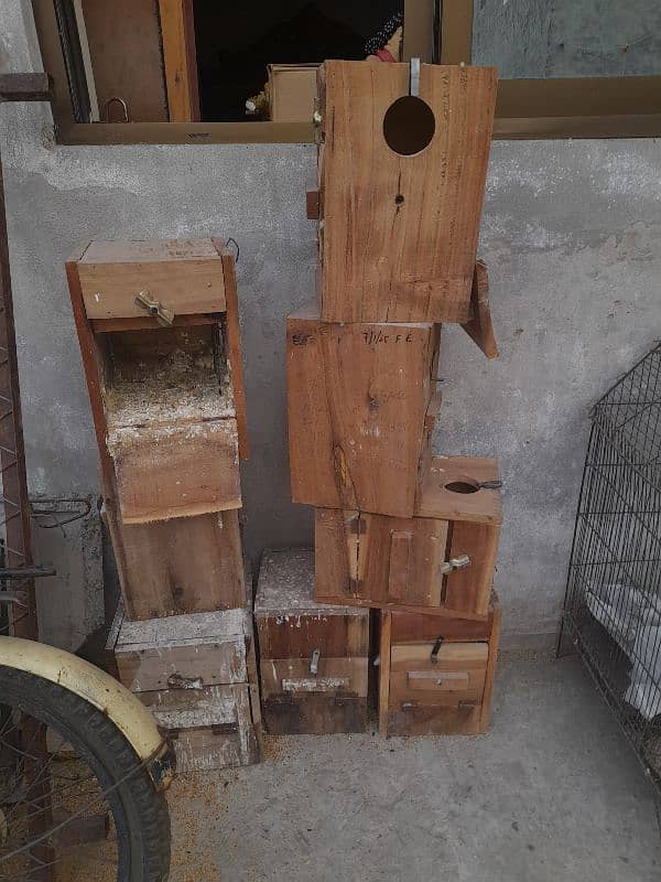 all setup for sale bird's and cages 16