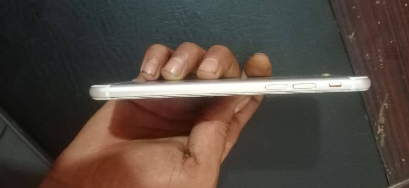 iPhone  6S Lush 1