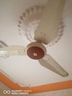 3 fans for sale