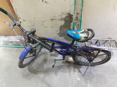 Nice cycle
