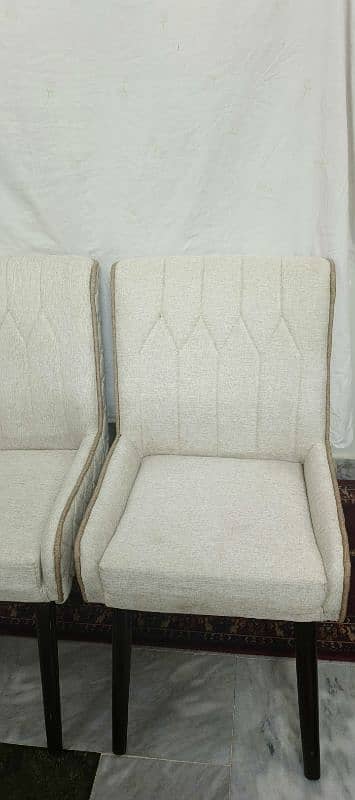 6 brand new dining chairs 2
