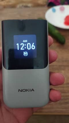 Nokia 2720 Flip dual sim