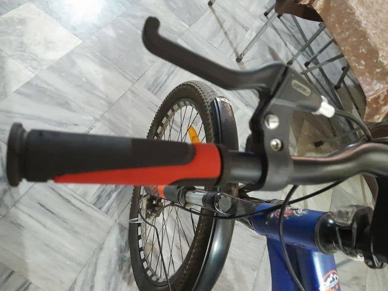 Maigoo cycle 24 4