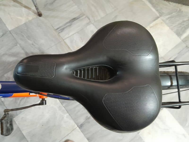 Maigoo cycle 24 5