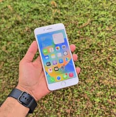 iphone 8 plus