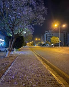 G13/4 Vip location Plot for Sale size 35+70 Street number 141