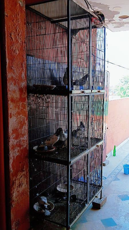 brids cage Full angle cage 0.3. 0.0. 4.3. 3.8. 4.3. 3 1