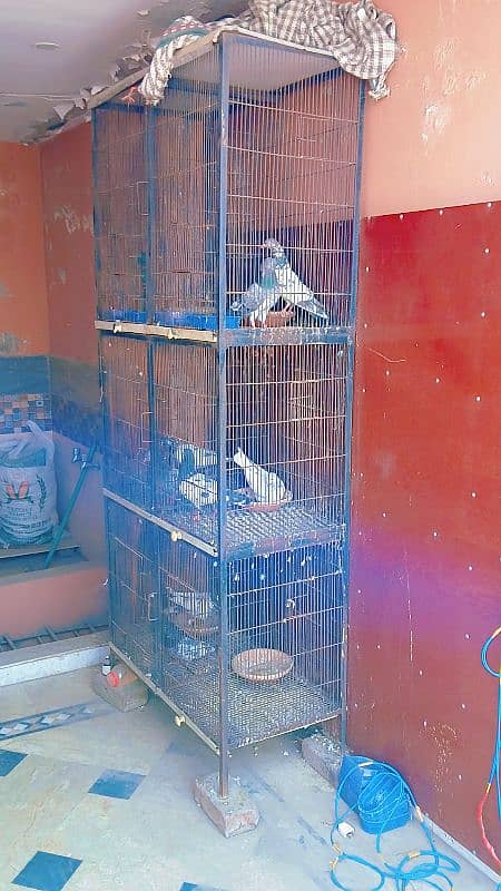 brids cage Full angle cage 0.3. 0.0. 4.3. 3.8. 4.3. 3 2