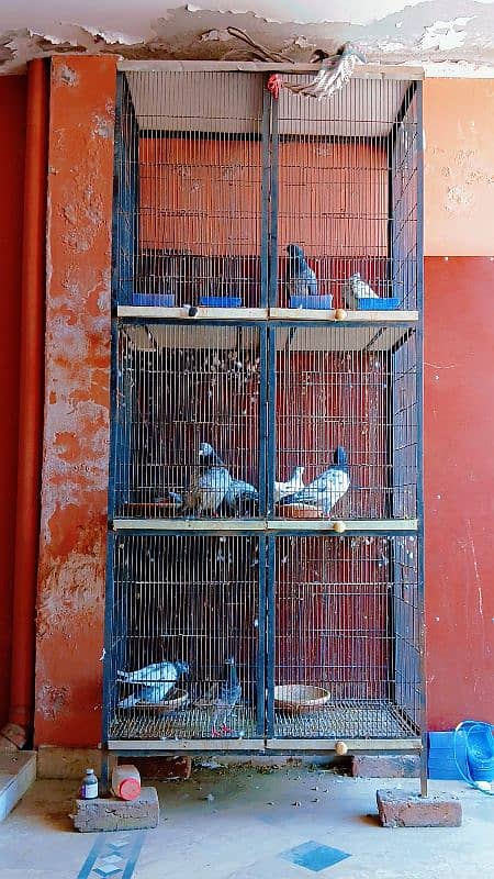 brids cage Full angle cage 0.3. 0.0. 4.3. 3.8. 4.3. 3 3